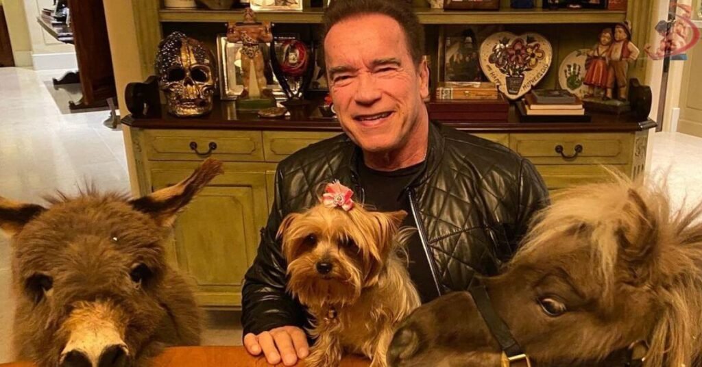 Arnold Schwarzenegger