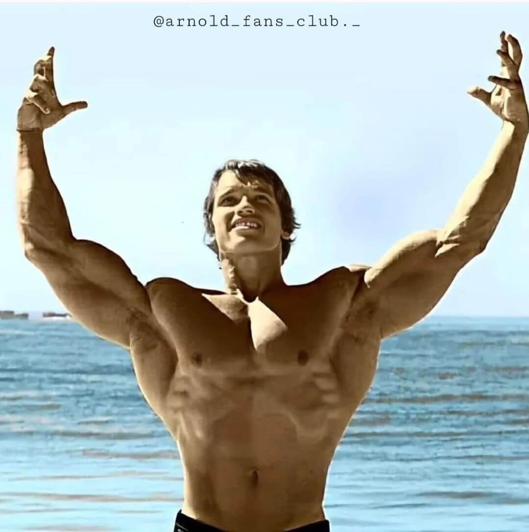 Arnold Schwarzenegger Vs Lou Ferrigno – Arnold Schwarzeneggers