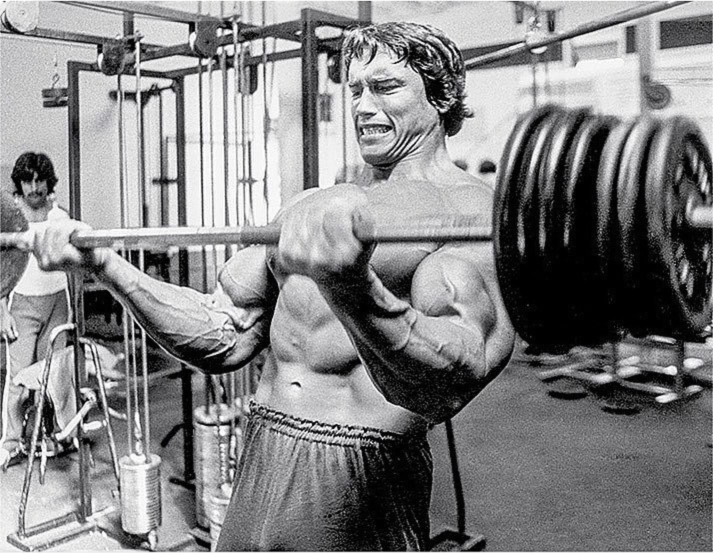 Arnold Schwarzenegger Biceps