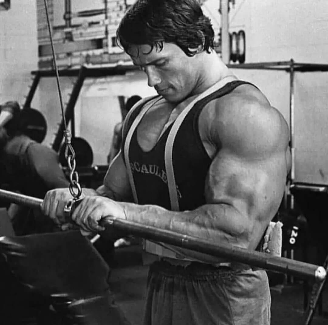 arnold-schwarzenegger-s-daily-routine-arnold-schwarzeneggers