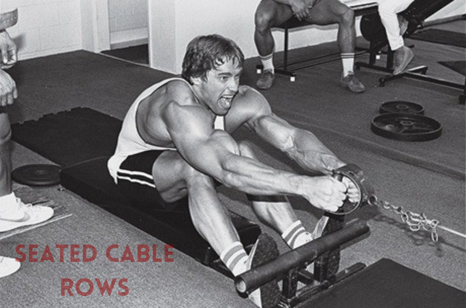 arnold schwarzenegger seated cable row