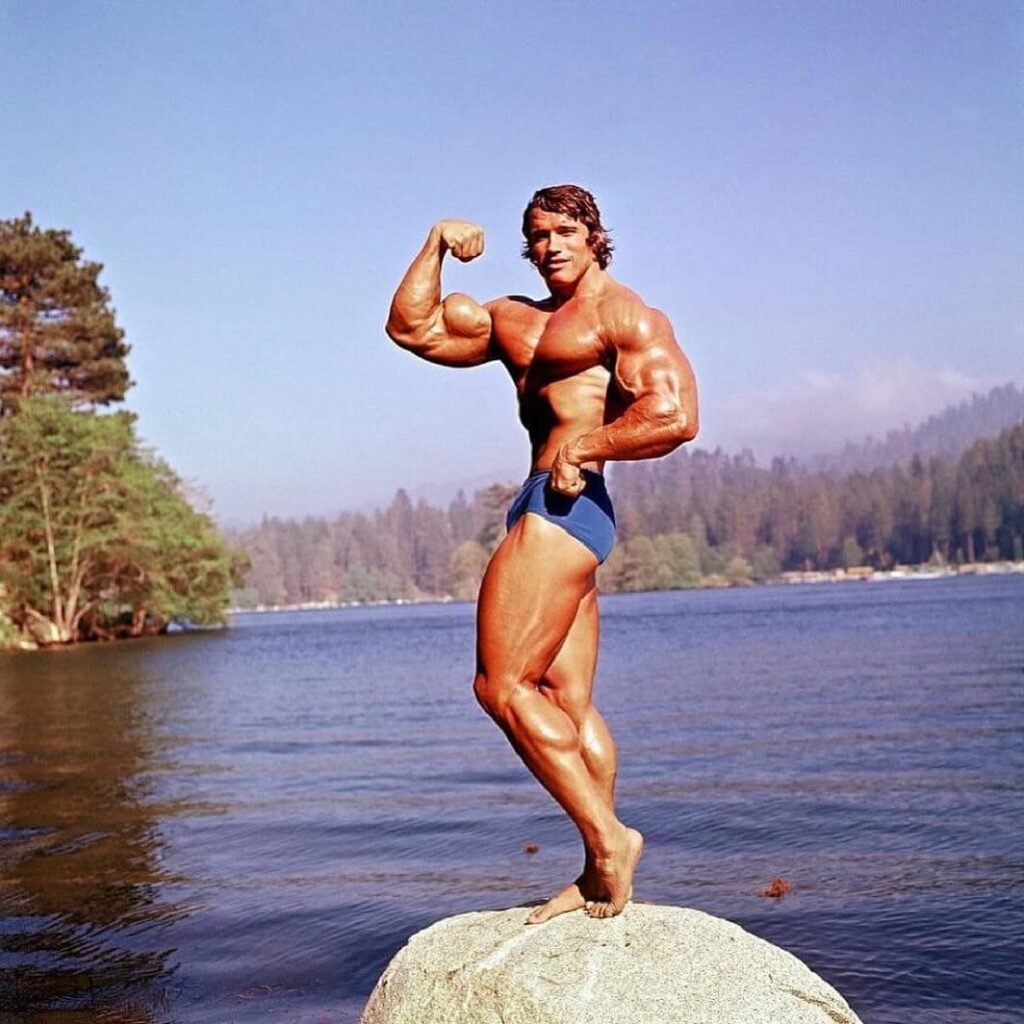 arnold the education of a bodybuilder