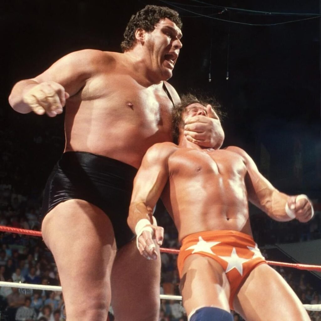 andre the giant giant haystacks