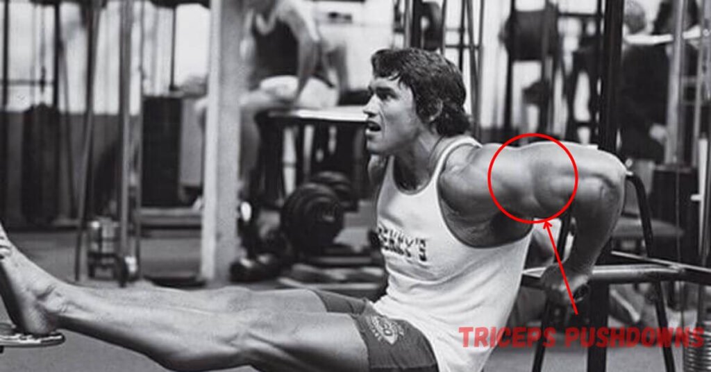 arnold schwarzenegger triceps training