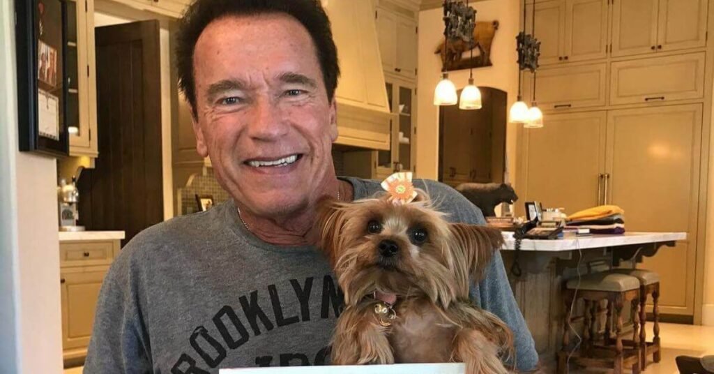 Arnold Schwarzenegger's Animal Punching Record