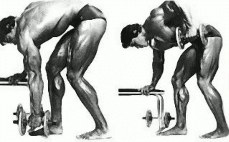arnold one arm dumbbell rows