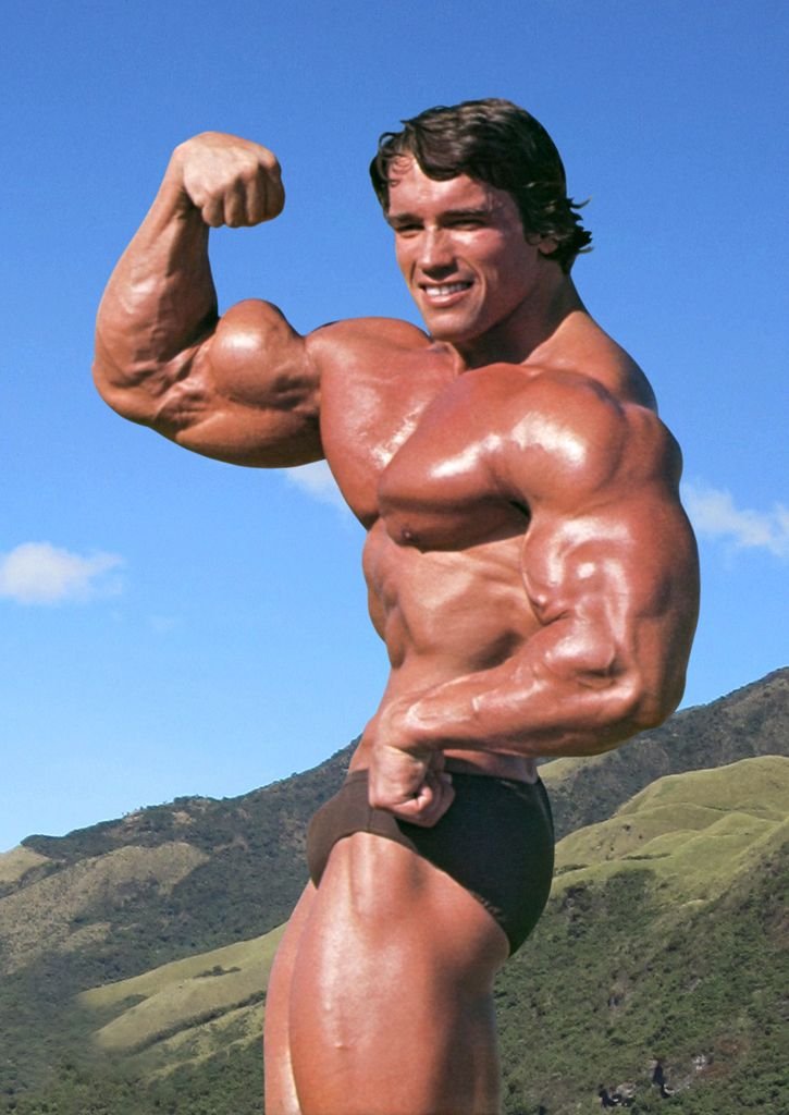 arnold schwarzenegger bodybuilding