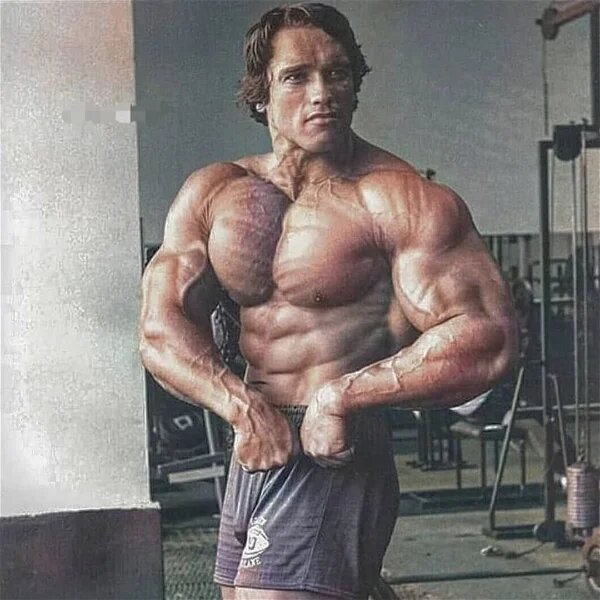 arnold schwarzenegger workout routine and diet