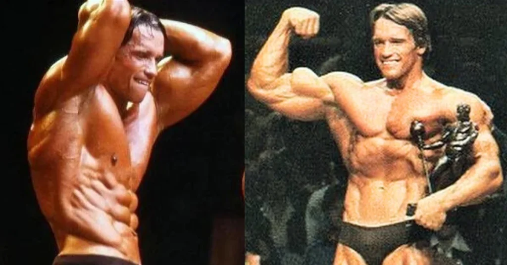 Arnold Schwarzenegger A Blueprint for Bodybuilding Success