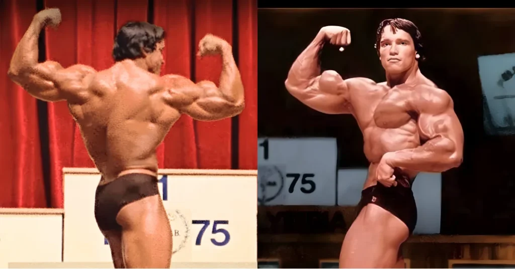 Arnold Schwarzenegger Profile The Pinnacle of Bodybuilding and Beyond