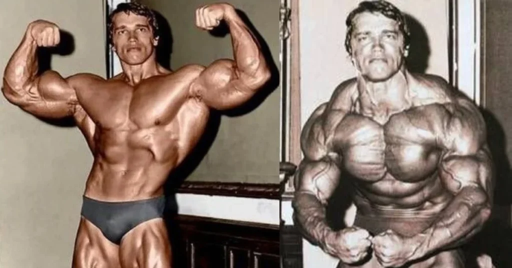 Arnold Schwarzenegger's Path to Bodybuilding Domination A Saga of Determination, Grit, and Triumph