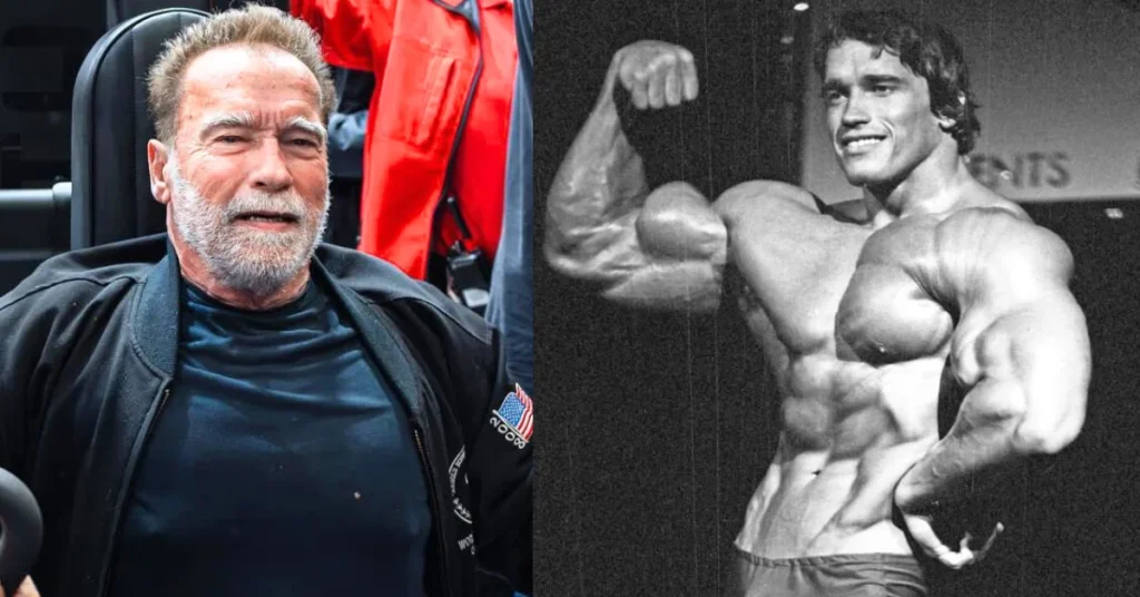 Arnold Schwarzenegger Brief History and Background